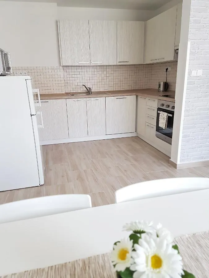 Blanicka 9 Apartments Prague