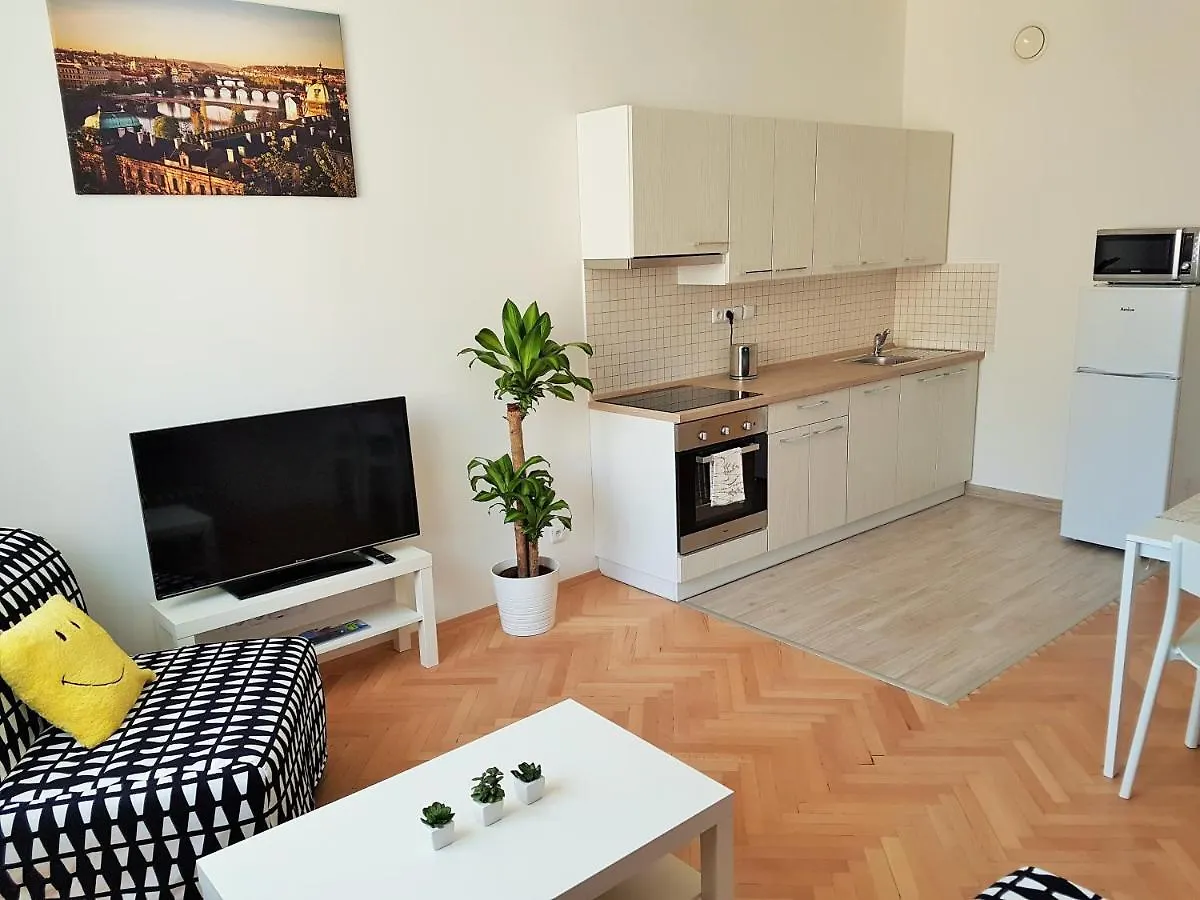 Blanicka 9 Apartments Prague