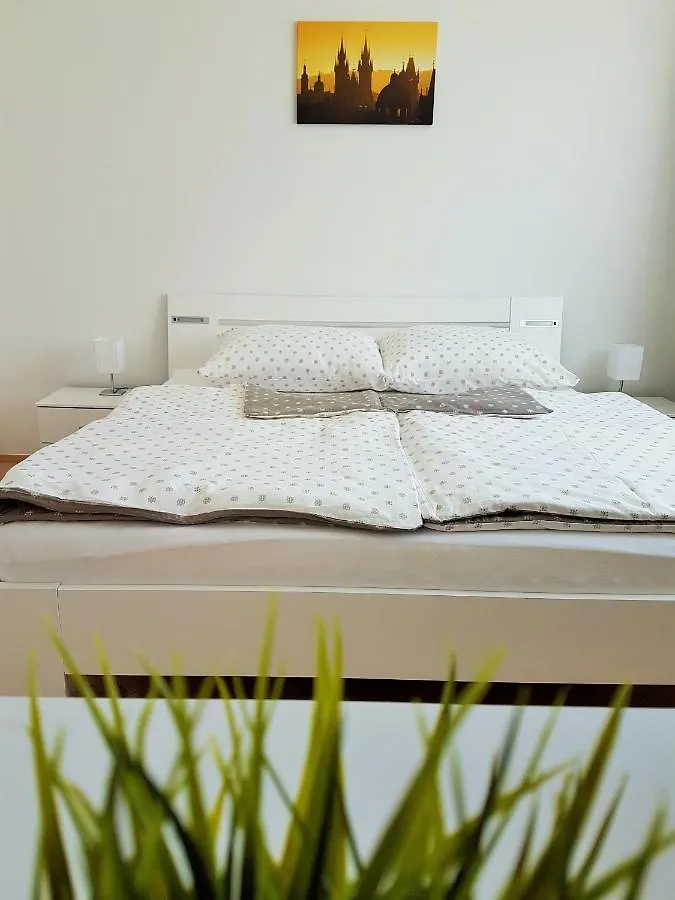 Blanicka 9 Apartments Praag